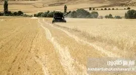 جشن آغاز سال زراعی؛ هیاهو در سایه بحران کشاورزی: دستاورد یا توهم؟