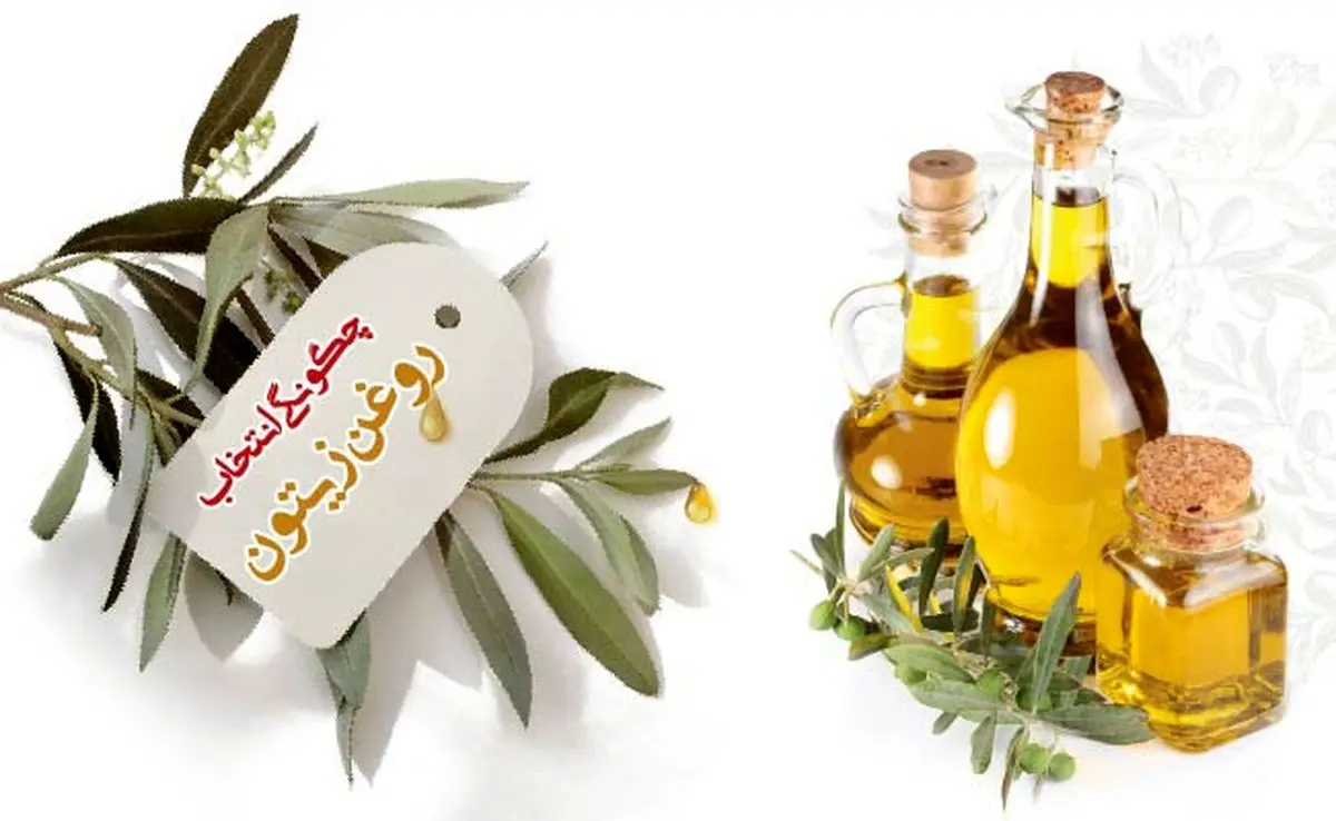 چگونگی انتخاب روغن زیتون

