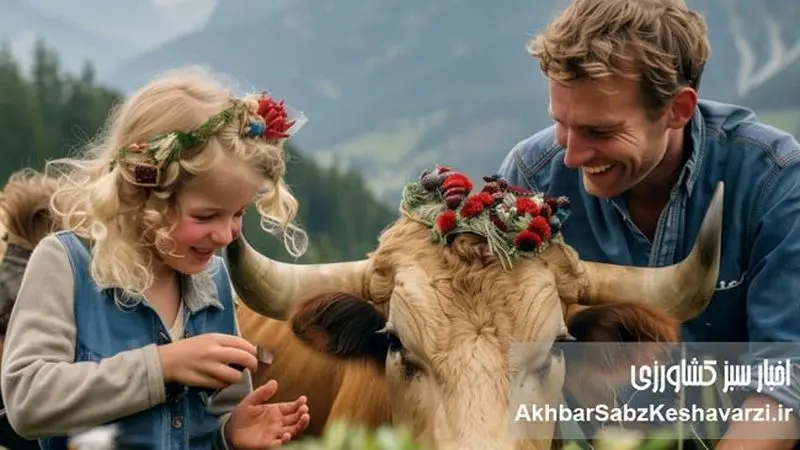 جشنواره‌ای به قدمت قرون: Alpabzug چیست؟+ ویدئو