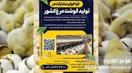 فراخوان مشارکت در توسعه زنجیره تولید گوشت مرغ کشور+جزئیات