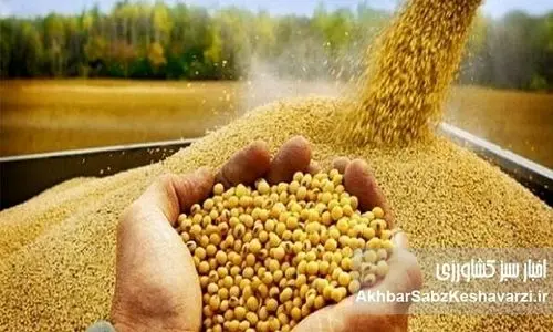 داد و فغان رسانه های حکومتی از فساد سیستماتیک در وزارت جهاد کشاورزی