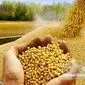 داد و فغان رسانه های حکومتی از فساد سیستماتیک در وزارت جهاد کشاورزی