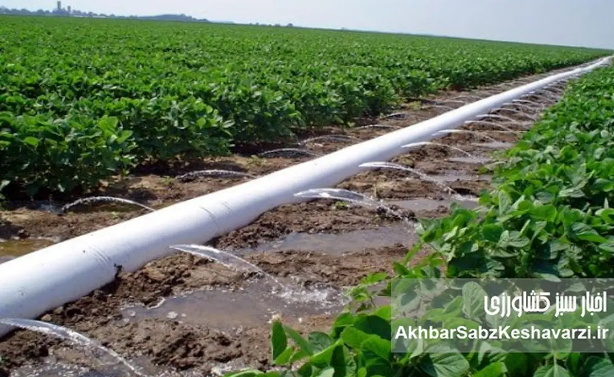 آبیاری هوشمند یا هدررفت پنهان؟ نقد فنی انتخاب لوله پلی‌اتیلن در کشاورزی ایران