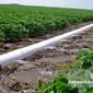 آبیاری هوشمند یا هدررفت پنهان؟ نقد فنی انتخاب لوله پلی‌اتیلن در کشاورزی ایران