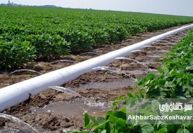 آبیاری هوشمند یا هدررفت پنهان؟ نقد فنی انتخاب لوله پلی‌اتیلن در کشاورزی ایران