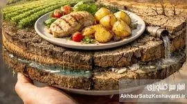 غذایی که می‌خوریم؛ ردپایش بر خاک، آب و هوا