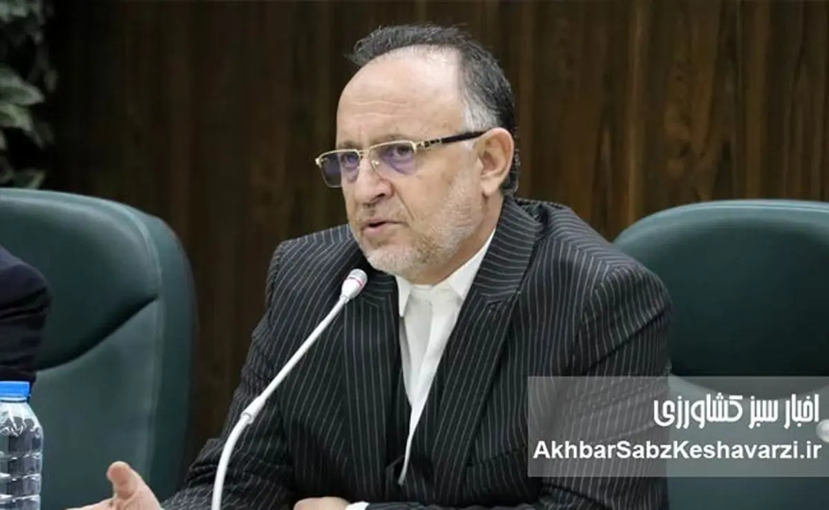 صنعت چوب و کاغذ ایران در آستانه ورشکستگی / ضرورت اصلاح قانون «تنفس جنگل»