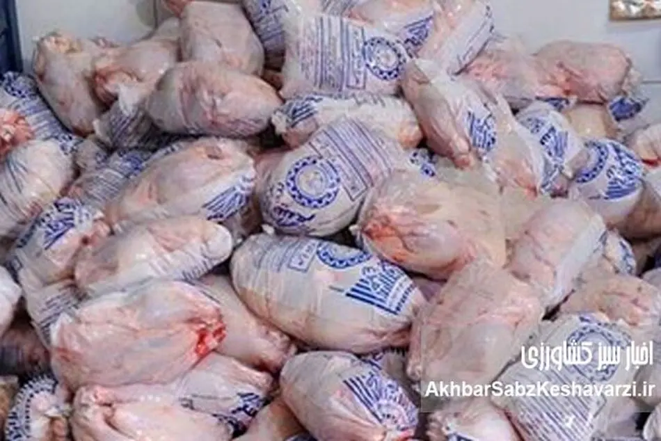 مردم مرغ نخریدند؛ قیمت مرغ ناگهان فرو ریخت؟ | روایت بازار