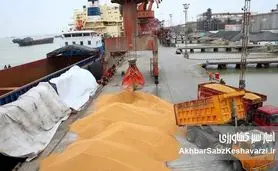 قوه قضاییه در غفلت و غیبت قوه مجریه به انحصار واردات نهاده‌ها و معضل امنیت غذایی ورود کرد+ویدئو