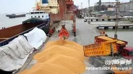 قوه قضاییه در غفلت و غیبت قوه مجریه به انحصار واردات نهاده‌ها و معضل امنیت غذایی ورود کرد+ویدئو