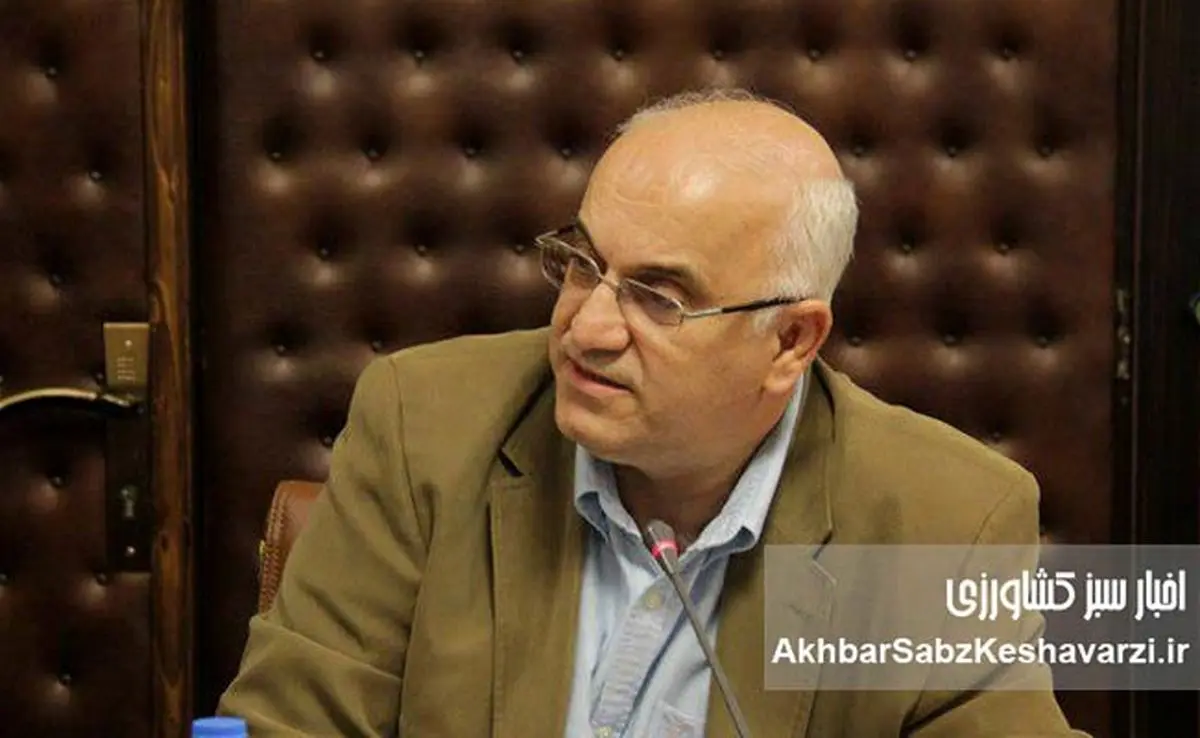 صادرات تخم مرغ ایران: از چالش‌های ناگهانی تا بازار 300 میلیون نفری همسایگان+ویدئو
