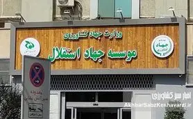 افشاگری درباره موسسه جهاد استقلال و کنسرسیوم خرید تجهیزات پزشکی با ارز؛ از برون‌سپاری واکس کفش تا امتیازات میلیاردی