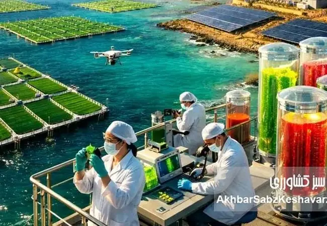 مکران؛ آزمایشگاه غول‌آسای بیوتکنولوژی یا فقط یک ساحل صیادی؟