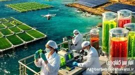 مکران؛ آزمایشگاه غول‌آسای بیوتکنولوژی یا فقط یک ساحل صیادی؟