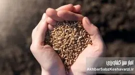 شاخص‌های نگران‌کننده کشاورزی ایران و آینده مبهم امنیت غذایی کشور