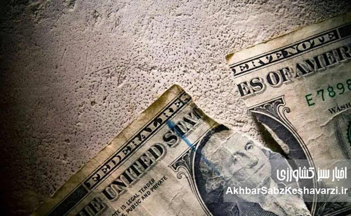 بحران ارزی در آستانه انفجار؛ دلار چگونه اقتصاد را بی‌پناه کرد؟