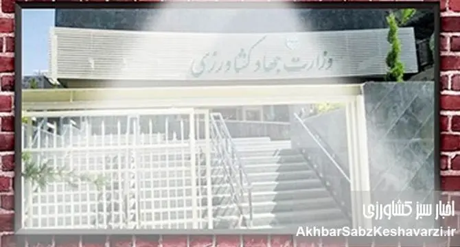 فساد میلیارد دلاری در سایه سفرهای خارجی و تبانی سازمان‌یافته