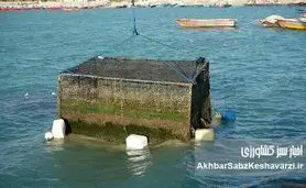 راهنمای جامع پرورش ماهی در قفس در شورابیل: افق‌های نو برای گردشگری اردبیل