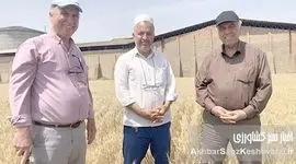 حفظ بقایای گیاهی اراضی دیم گلستان: معجزه‌ای برای خاک تشنه و کلید افزایش تولید+ ویدئو