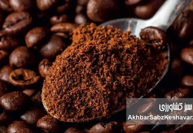 کافئین؛ دوست مغز یا دشمن خواب؟ پاسخ علمی و شگفت‌انگیز!