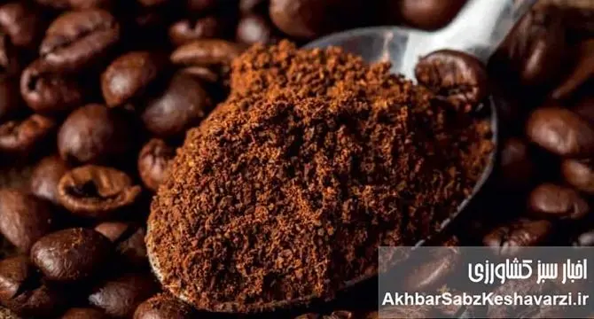 کافئین؛ دوست مغز یا دشمن خواب؟ پاسخ علمی و شگفت‌انگیز!