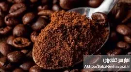 کافئین؛ دوست مغز یا دشمن خواب؟ پاسخ علمی و شگفت‌انگیز!