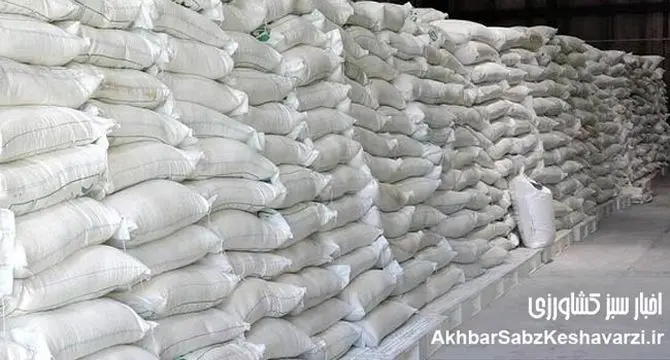 کشف انبار احتکار ۱۲۰ تن برنج وارداتی در جنوب تهران/ جریمه ۷ میلیارد تومانی برای افزایش قیمت