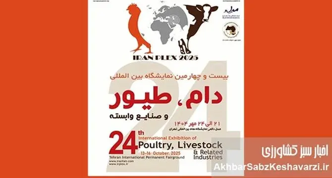 صندوق بیمه کشاورزی در نمایشگاه دام و طیور ۱۴۰۴: نوآوری‌های بیمه‌ای در سالن B۳۸