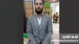 روایت ویتا سیب از چای میوه‌ای ایرانی+ ویدئو