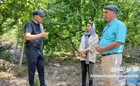 فراتر از مزرعه: نقش شگفت‌انگیز زنان در کشاورزی و باغداری ایران+ ویدئو