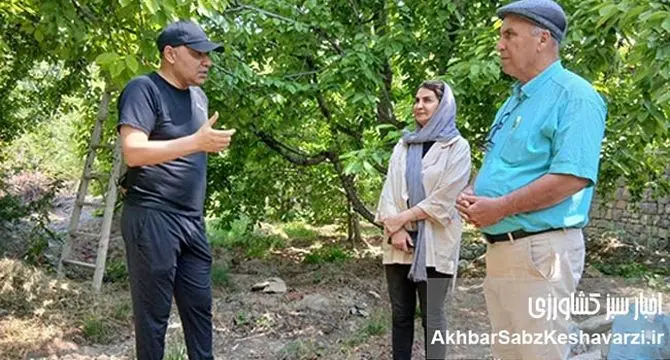 فراتر از مزرعه: نقش شگفت‌انگیز زنان در کشاورزی و باغداری ایران+ ویدئو