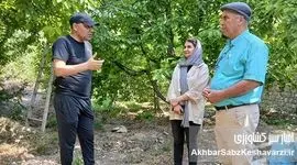 فراتر از مزرعه: نقش شگفت‌انگیز زنان در کشاورزی و باغداری ایران+ ویدئو