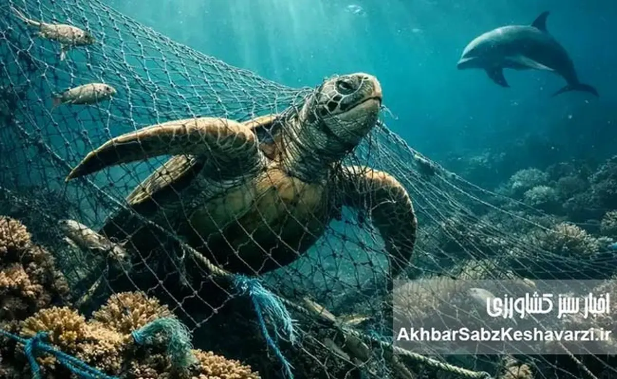 تورهای شبح در خلیج فارس؛ قاتلان خاموش و میراث ویرانگر صید غیرمسئولانه
