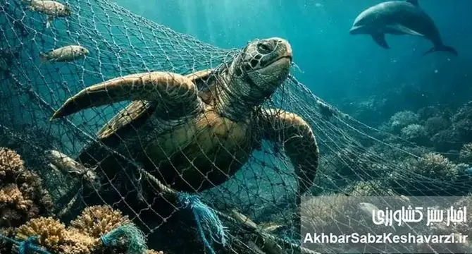 تورهای شبح در خلیج فارس؛ قاتلان خاموش و میراث ویرانگر صید غیرمسئولانه
