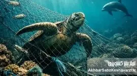 تورهای شبح در خلیج فارس؛ قاتلان خاموش و میراث ویرانگر صید غیرمسئولانه
