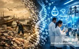 از زباله‌دانی ساحل تا آزمایشگاه‌های لوکس؛ آیا ایران «طلای کثیف» شیلات را دور می‌ریزد؟