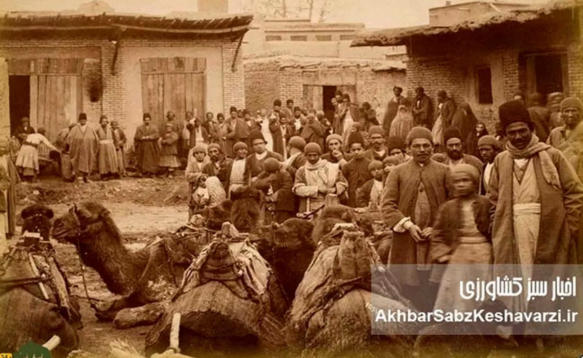 ایران در اشغال متفقین، مسئله غذا در کابینه سهیلی وسقوط قوام با بحران نان