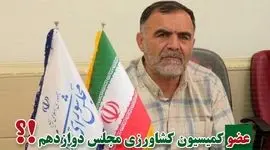 علی‌اکبر علیزاده راهی مجلس دوازدهم شد

