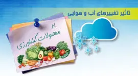تاثیر تغییرهای آب و هوایی بر محصولات کشاورزی+ اینفوگرافی 

