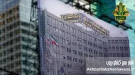 استقبال ۱۷۷ همتی از اعتبار دیجیتال «نوی‌پو»؛ سیگنال جدید تأمین مالی تولید