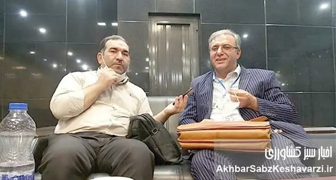 بحران مدرک‌گرایی سلبریتی‌ها و ریشه‌های یک بیماری مزمن!