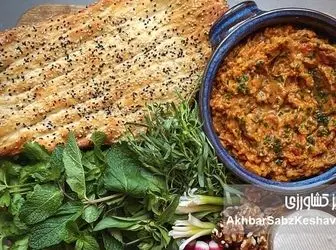 راز طعم دودی در میرزا قاسمی اصیل؛ غذایی ساده که نوستالژیک شد+ جزئیات