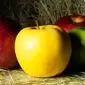 کدام میوه‌ها به کاهش وزن کمک می‌کنند؟

