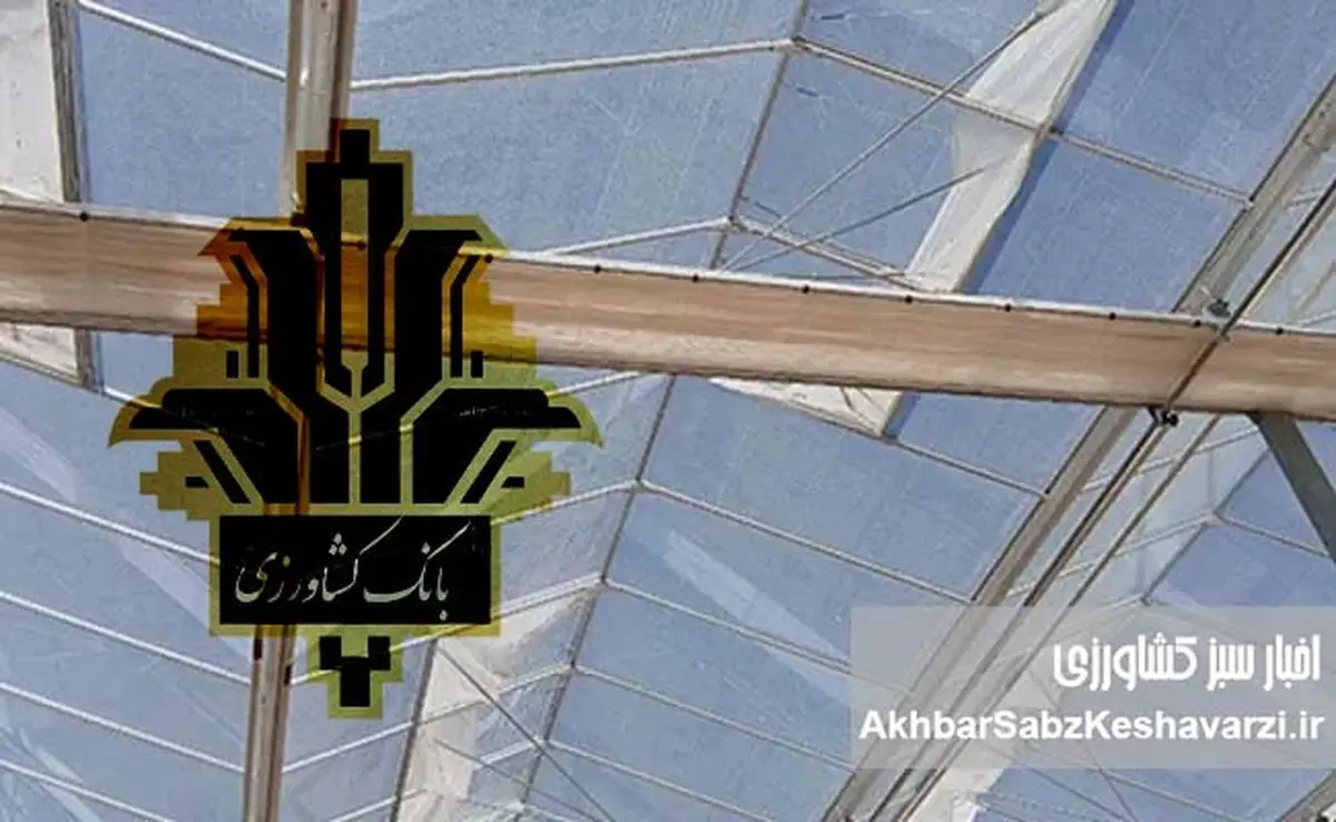 بانک کشاورزی؛ تکیهگاه گلخانهداران در مسیر امنیت غذایی