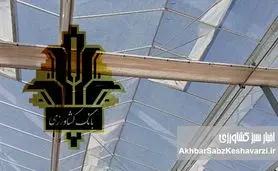 بانک کشاورزی؛ تکیه‌گاه گلخانه‌داران در مسیر امنیت غذایی