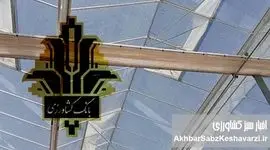 بانک کشاورزی؛ تکیه‌گاه گلخانه‌داران در مسیر امنیت غذایی