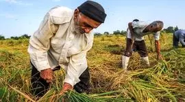 امهال تسهیلات کشاورزان خسارت دیده ابلاغ شد