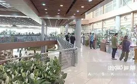 نمایشگاهی به سبزی زندگی؛  بیستمین نمایشگاه گل و گیاه تهران آغاز به کار کرد+ عکس