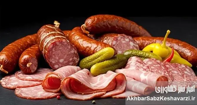 پروتئین ارزان‌قیمت: راهنمای کامل نجات سبد خرید در دوران گرانی و حفظ سلامتی+جدول