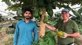 خلاقیت یک دانشجوی کشاورزی در تولید میوه‌های استوایی

